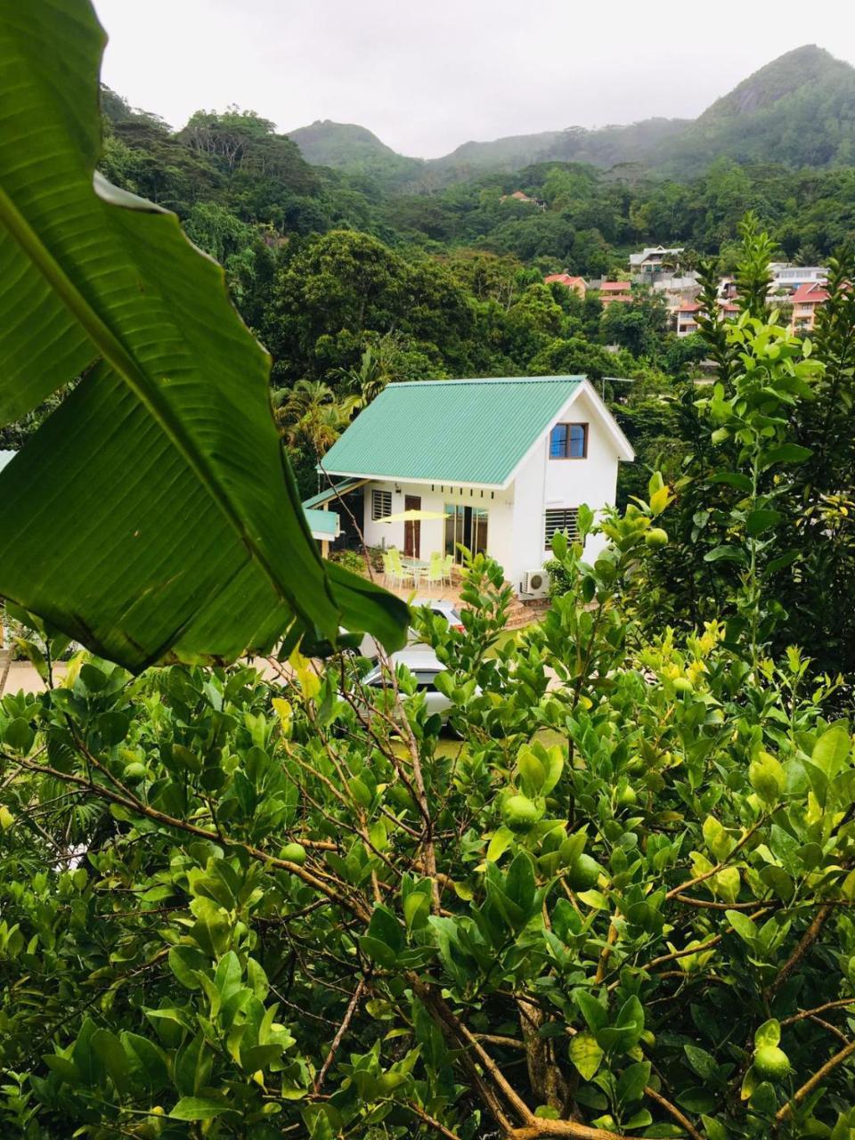 安塞奥潘 爱巢自助式旅馆酒店 外观 照片